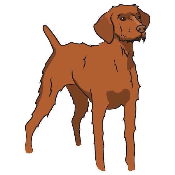 Signmission Wirehaired Vizsla Dog Decal, Dog Lover Decor Vinyl Sticker D-12-Wirehaired Vizsla - main